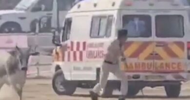 Security Lapse at CM Nitish Kumar’s Helipad as Stray Bull Sends Police Scrambling