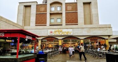 Murthal rape case SIT “pre-determined to sanitise evidence”, Amicus Curie tells High Court