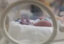 Haryana Human Rights Commission takes suo motu notice of newborn’s death over alleged ventilator unavailability